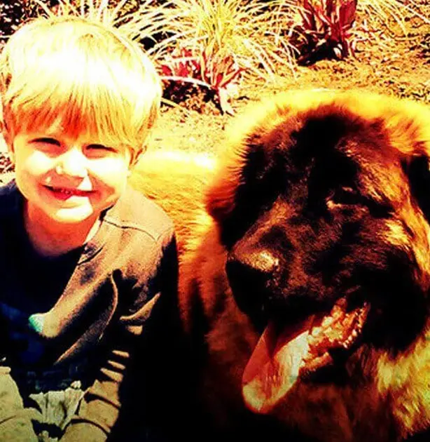 little boy with a dog- Jacksonville Dog Training