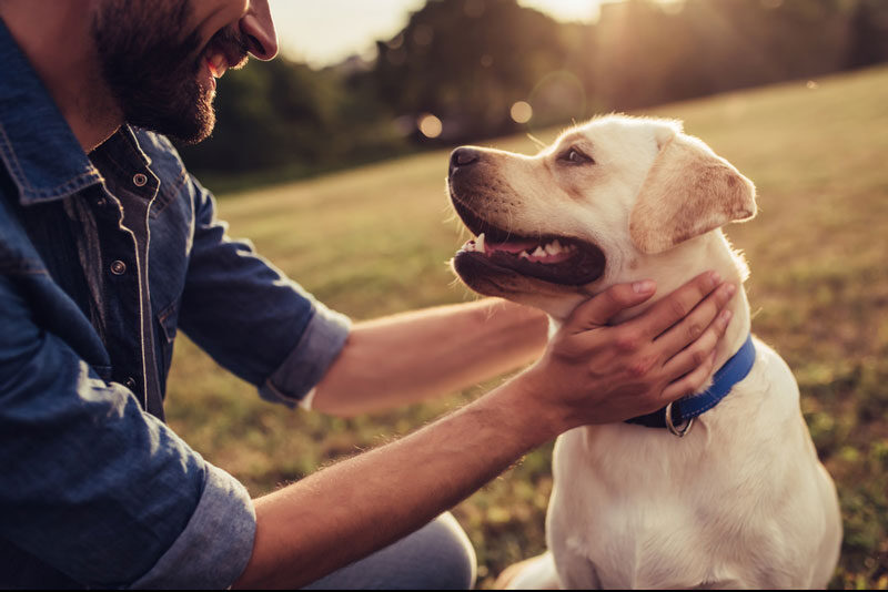 young man with labrador outdoors
