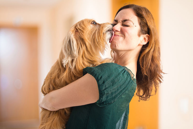 puppy training in Jacksonville and Tampa, FL